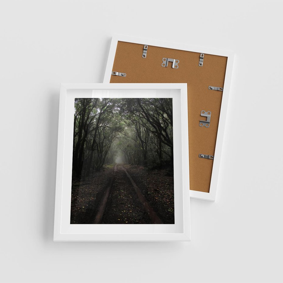 Plakat w ramie 40x50 - Urok Drogi - las, droga - rama biała
