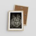 Plakat w ramie 30x40 - Moc lewego spojrzenia - lew, czarno - rama drewno