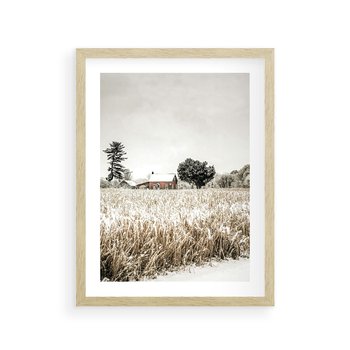 Plakat w ramie 50x70 - Idylliczna Zima - zima, krajobraz zimowy - rama drewno