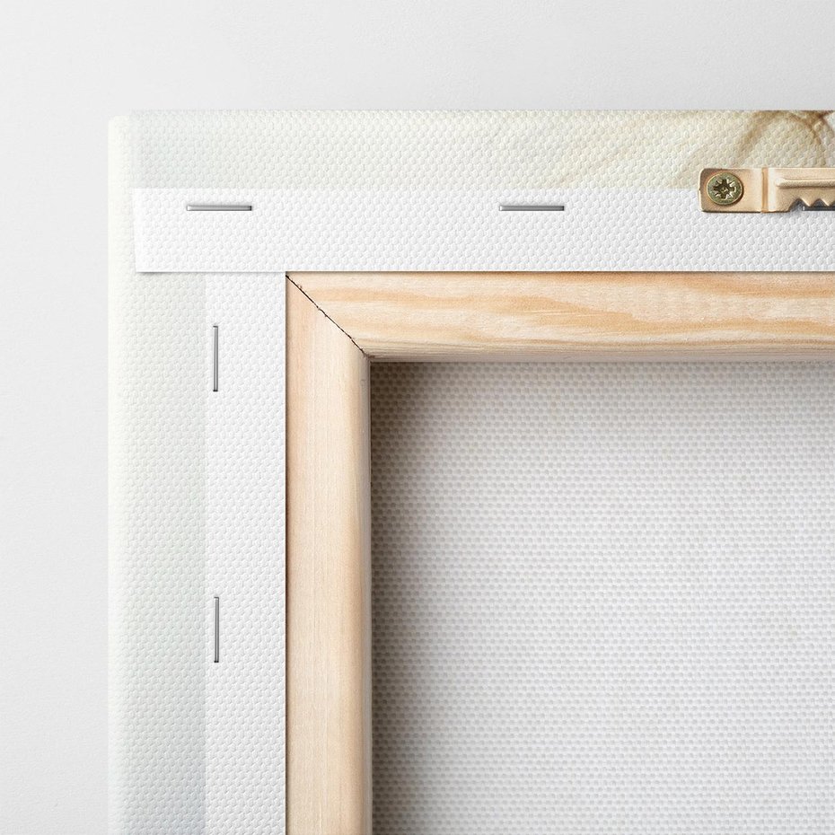 Obraz na płótnie 120x60 - Makro piękno dmuchawca - makro, dmuchawiec