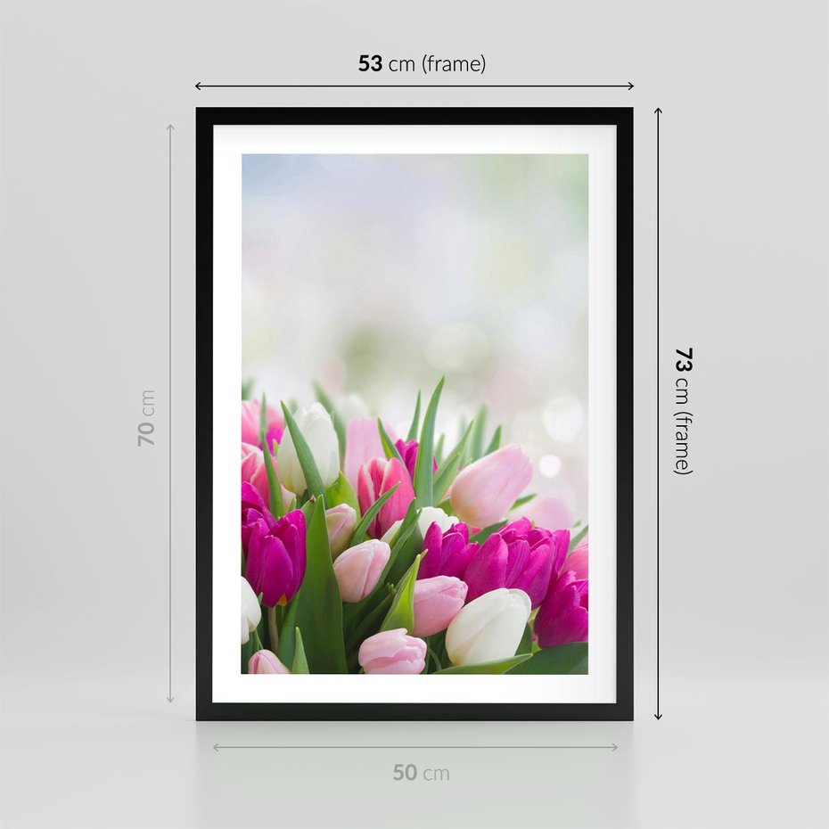 Plakat w ramie 50x70 - Tulipany w pełnym rozkwicie - tulipany, kwiaty - rama czarna