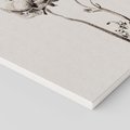 Obraz na płótnie 60x60 - Cień Kwiatowej Delikatności - kwiat, cień