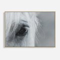 Obraz w ramie 70x50 - Oko Mocy - czarno białe zdjęcie, zbliżenie makro na oko konia - rama drewno