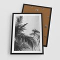 Plakat w ramie 50x70 - Palmy w Monochromii - palmy, tropikalne palmy - rama czarna