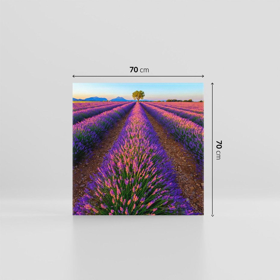 Obraz na płótnie 70x70 - Fioletowa Magia - pole, lawendy