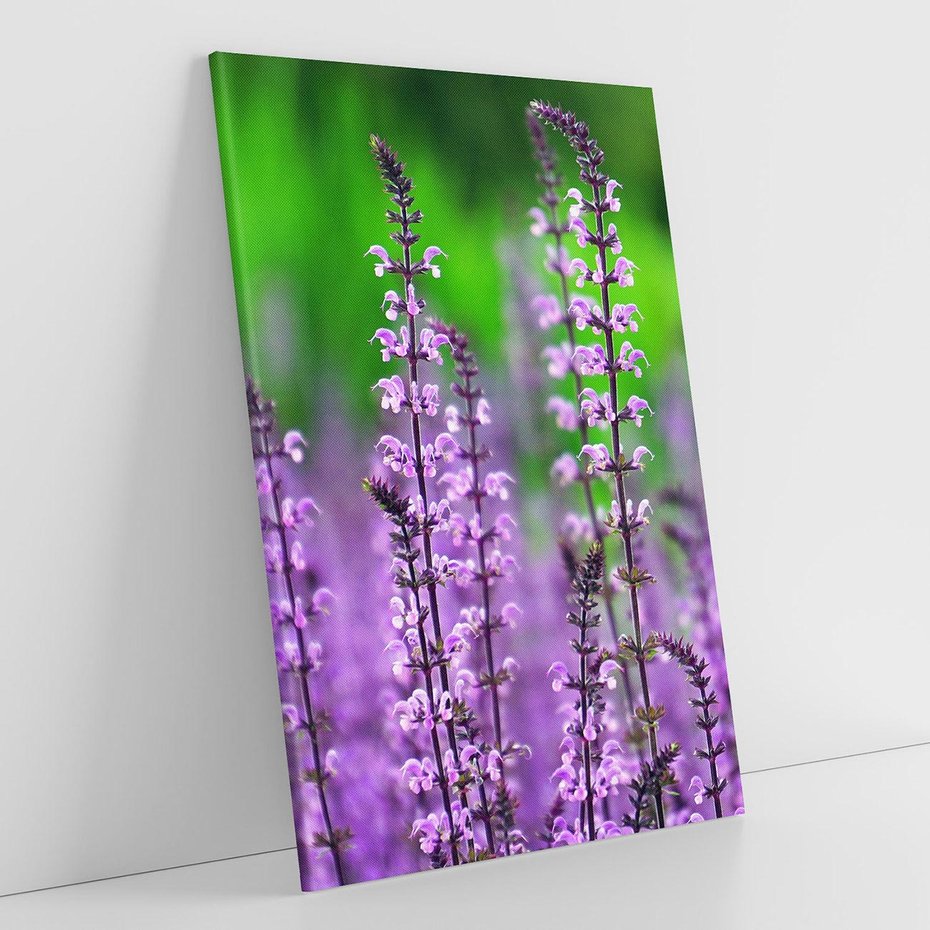 Obraz na płótnie 70x100 - Lawenda magia purpury - lawenda, kwiaty