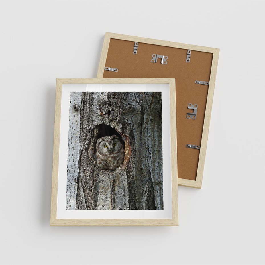 Plakat w ramie 40x50 - Tajemniczy W świecie Nocy - sowa, dziupla - rama drewno