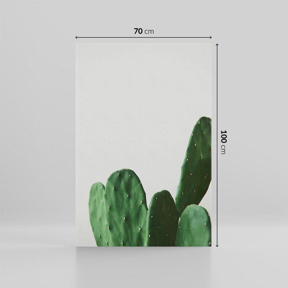 Obraz na płótnie 70x100 - Majestatyczne Wysokości - kaktusy, liście