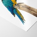 Plakat bez ramy 21x30 - Kolorowa papuga w locie - papuga, ptak