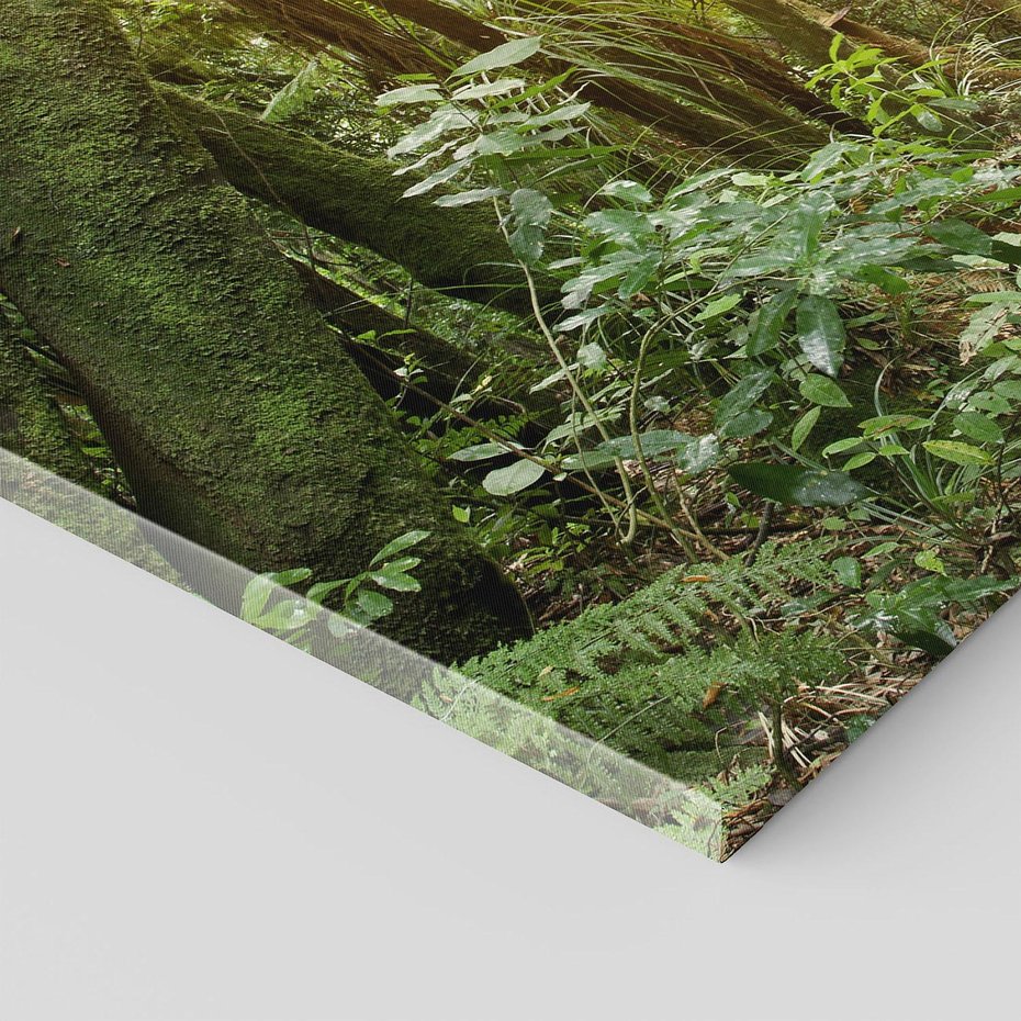 Obraz na płótnie 70x50 - Uroczysty Las Drzew - las, drzewa