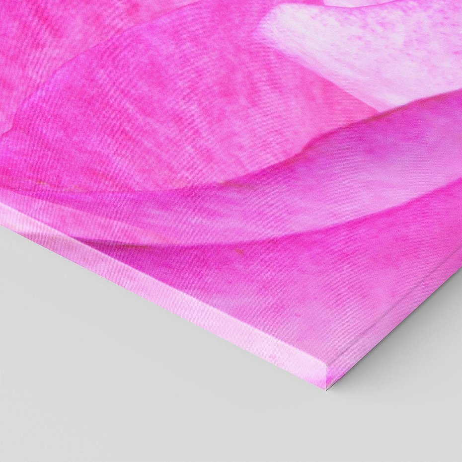 Obraz na płótnie 100x50 - Kwiaty w harmonii z naturą - kwiat, kwiaty