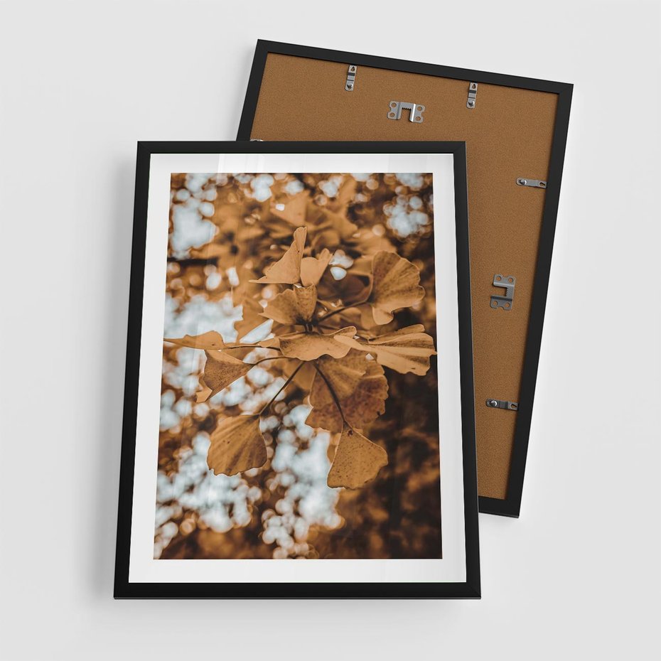 Plakat w ramie 50x70 - Nostalgiczny Miłorząb - miłorząb, liście - rama czarna