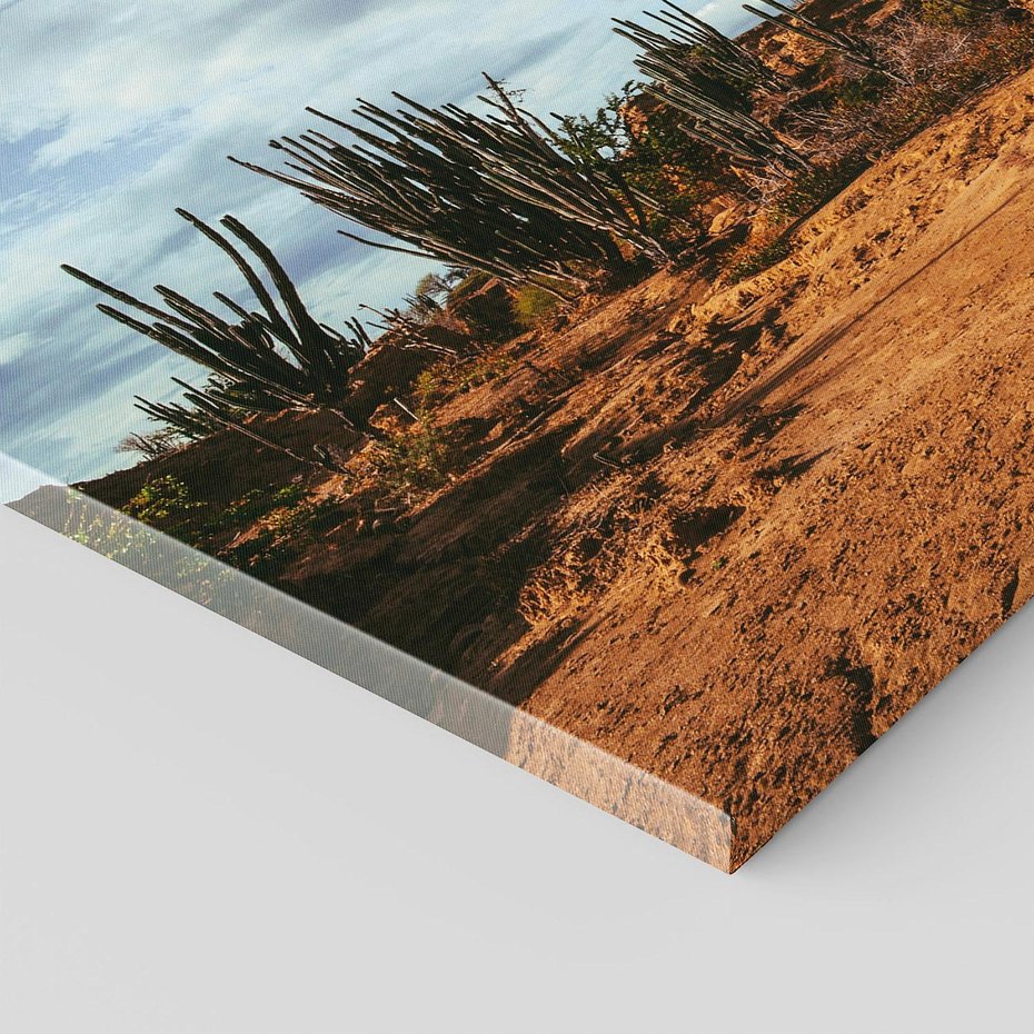 Obraz na płótnie 100x70 - Skarby Pustynnego Kanionu - pustynia, kaktusy