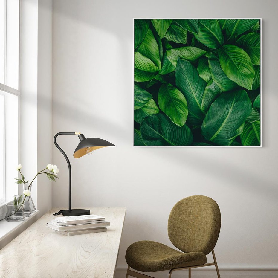 Obraz w ramie 50x50 - Palma Liście Kwiat - palma, liście - rama biała