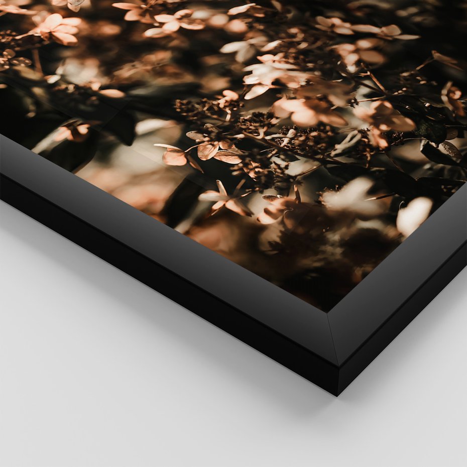 Zestaw obrazy w ramie 30x40 galeria - Hortensja, kwiaty, suche, cytat - rama czarna