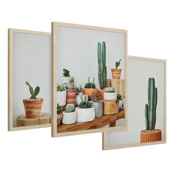 Zestaw obrazy w ramie 30x40 galeria - Kaktusy, w, doniczkach, boho - rama drewno