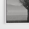 Obraz w ramie 70x100 - Samotne Drzewo - samotne drzewo w polu, czarno białe zdjęcie - rama biała