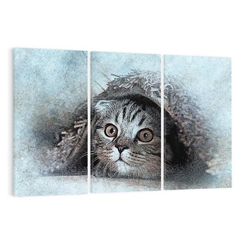 Obraz na płótnie 120x80 - Kot w abstrakcyjnym otoczeniu - kot, sztuka