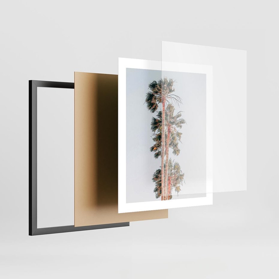 Plakat w ramie 40x50 - Kształty Palm - palmy, zdjęcie - rama czarna