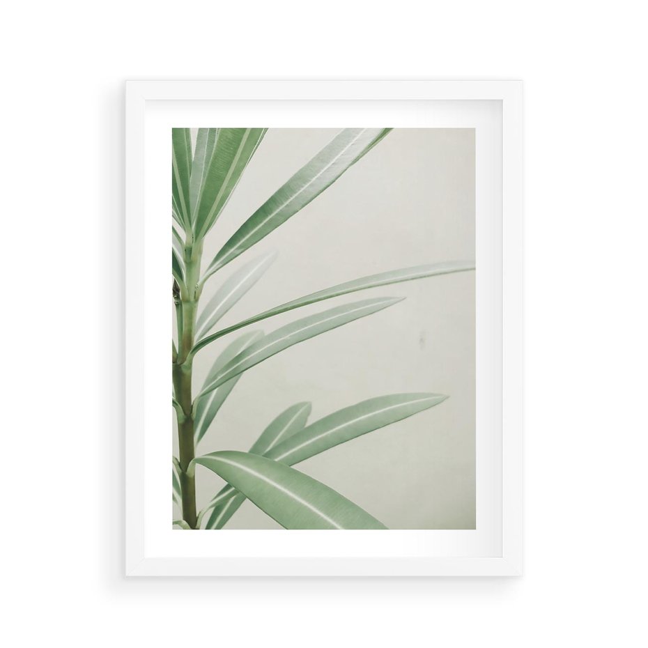 Plakat w ramie 40x50 - Minimalistyczna Tropikalna Harmonia - tropikalna roślina, zielone liście - rama biała