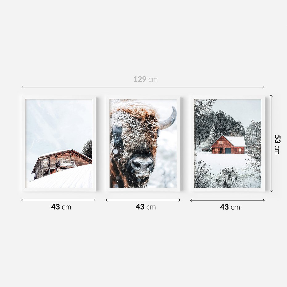Zestaw obrazy w ramie 40x50 galeria - Zima, bizon, góry, śnieg - rama biała