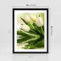Plakat w ramie 40x50 - Białe Piękno - białe, tulipany - rama czarna