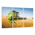 Obraz na płótnie 120x80 - Złociste żniwa na kombajnie - kombajn, zboże