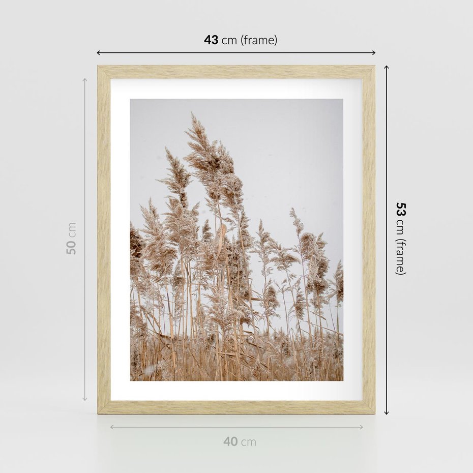 Plakat w ramie 40x50 - Boho Urok - trawy, pampas - rama drewno