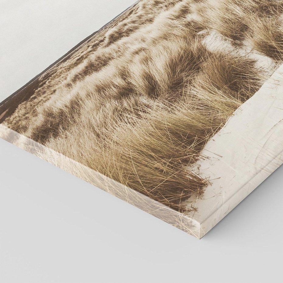 Obraz na płótnie 100x70 - Nadmorskie Wydmy - fotografia, kolory sepii