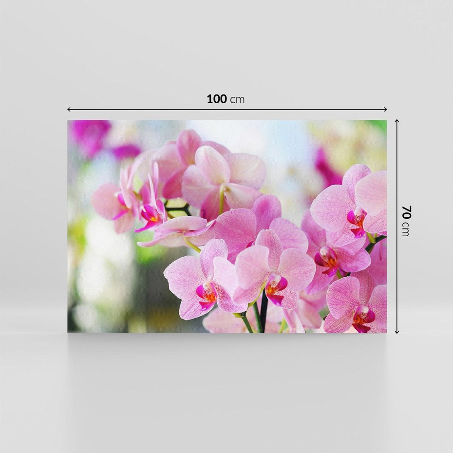 Obraz na płótnie 100x70 - Elegancja orchidei - orchidea, kwiaty