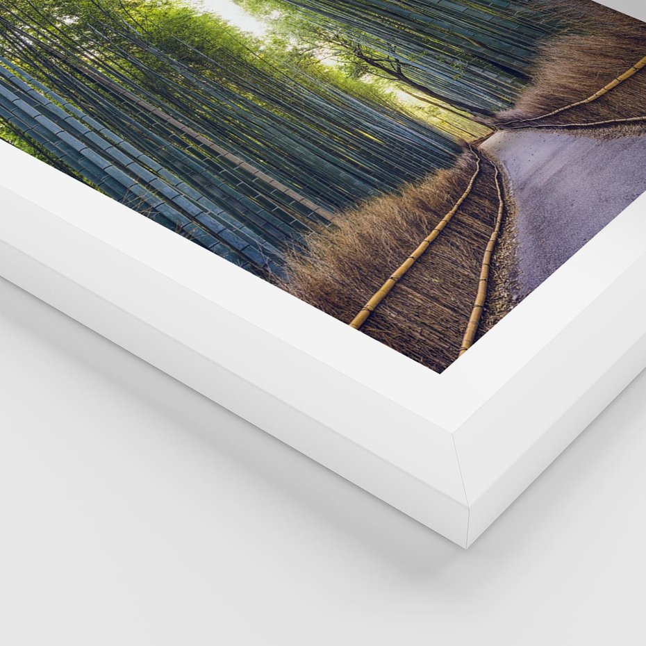 Plakat w ramie 50x70 - Urokliwa dróżka w lesie - las, dróżka - rama biała