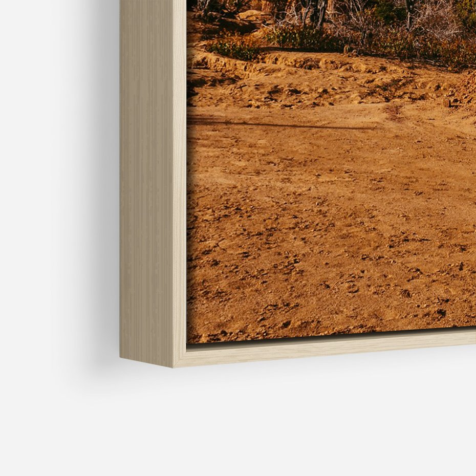 Obraz w ramie 50x70 - Skarby Pustynnego Kanionu - pustynia, kaktusy - rama drewno