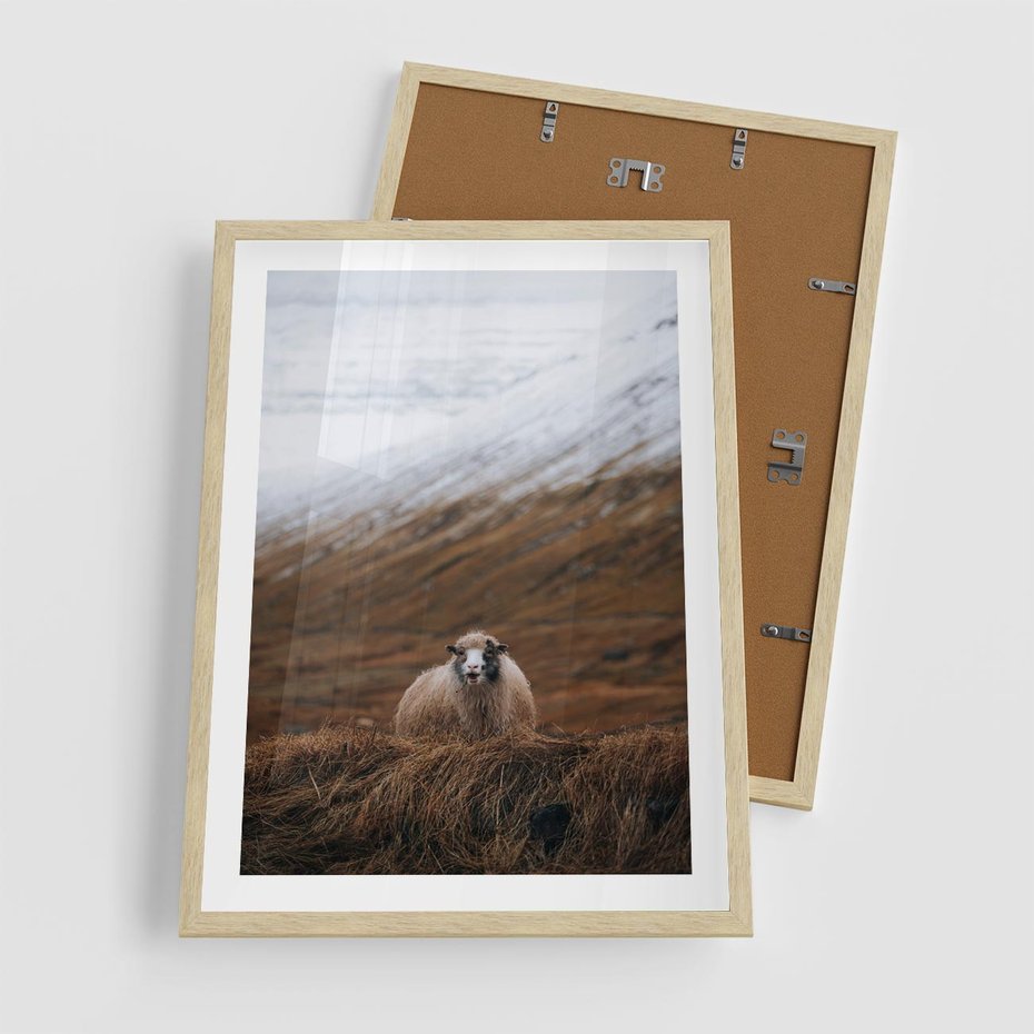 Plakat w ramie 50x70 - Owiecka panorama - góry, owca - rama drewno