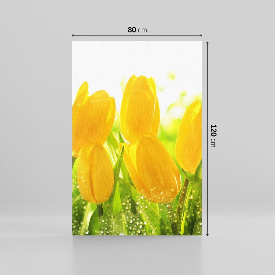 Obraz na płótnie 80x120 - Tulipany - szczyt kwiatowego piękna - tulipany, kwiaty