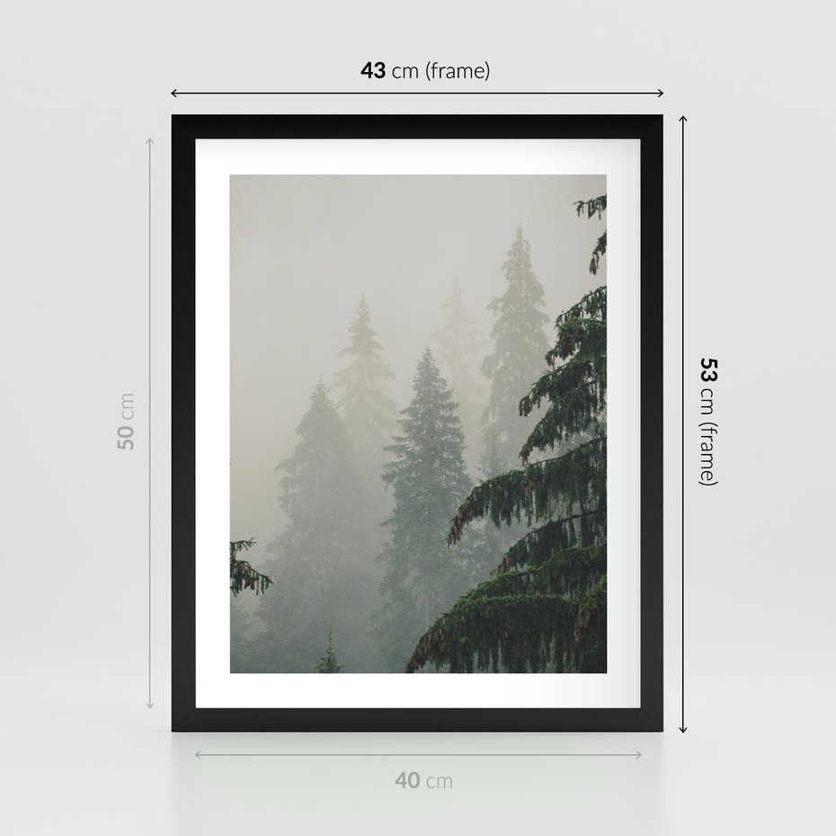 Plakat w ramie 40x50 - Mglista przemiana lasu - las, mgła - rama czarna