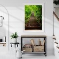 Plakat bez ramy 21x30 - Lasowa ścieżka pełna tajemnic - ścieżka, schody