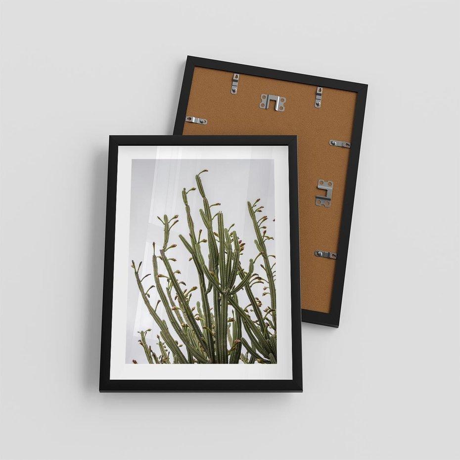 Plakat w ramie 30x40 - Ekskluzywna Roślinność - kaktusy, liście - rama czarna