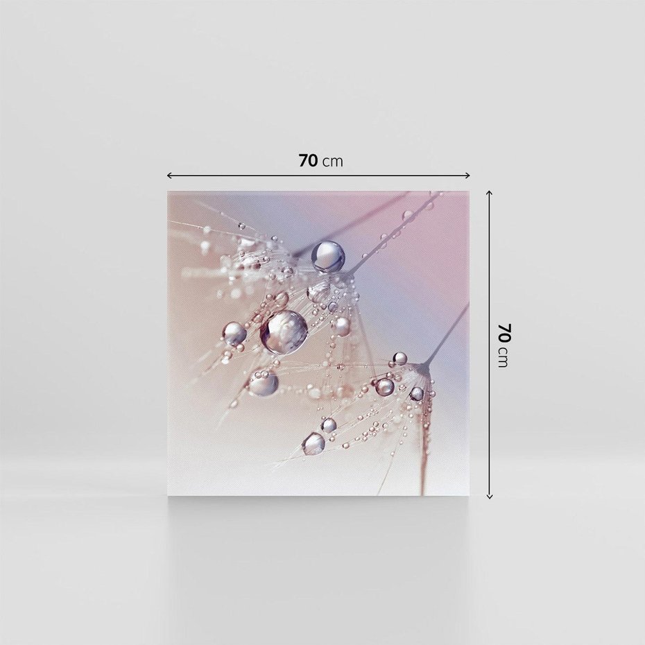 Obraz na płótnie 70x70 - Delikatne Natchnienie - krople, dmuchawce