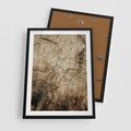 Plakat w ramie 50x70 - Słoje Natury - słoje drzewa, pieńdrzewa - rama czarna
