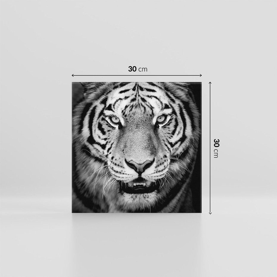 Obraz na płótnie 30x30 - Tygrys Czarno-Biały: Siła i Delikatność - tygrys, czarno