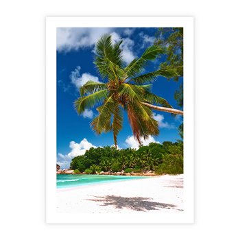 Plakat bez ramy 21x30 - Oaza palm na plaży - palma, plaża