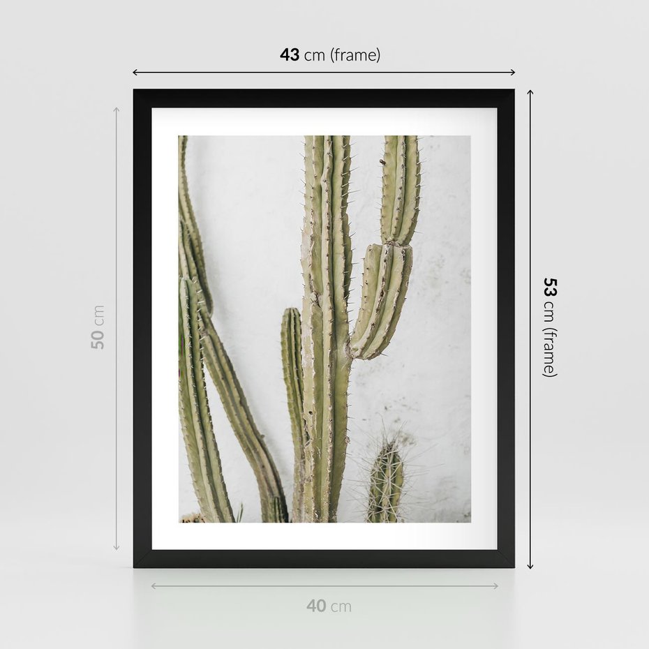 Plakat w ramie 40x50 - Kaktus w Stylu Boho - kaktus, roślina tropikalna - rama czarna