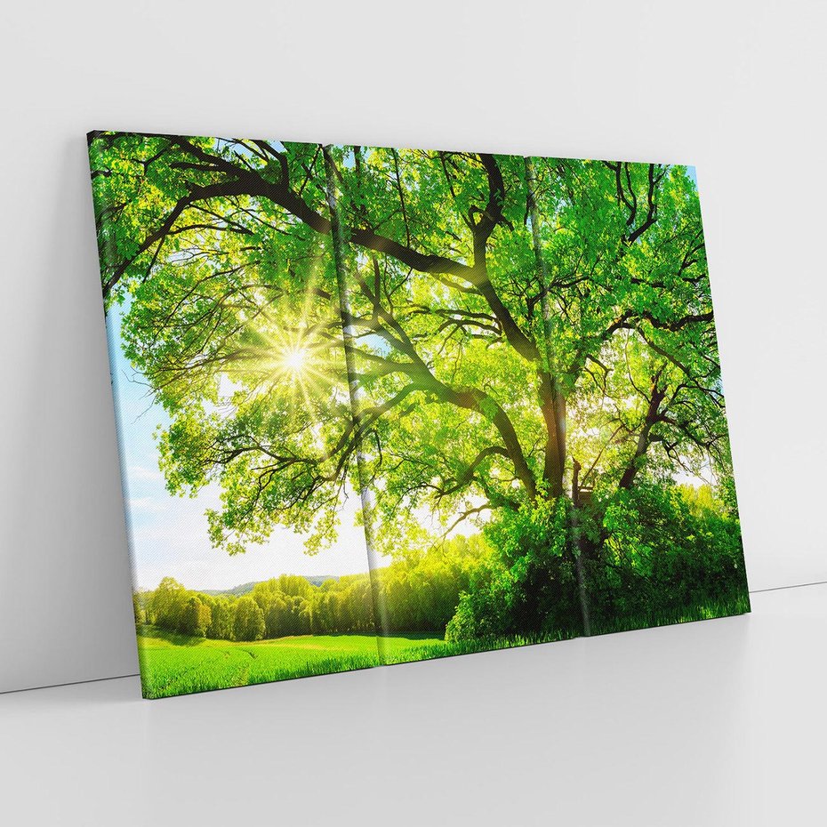 Obraz na płótnie 120x80 - Natura w pełnym rozkwicie - drzewo, niebo