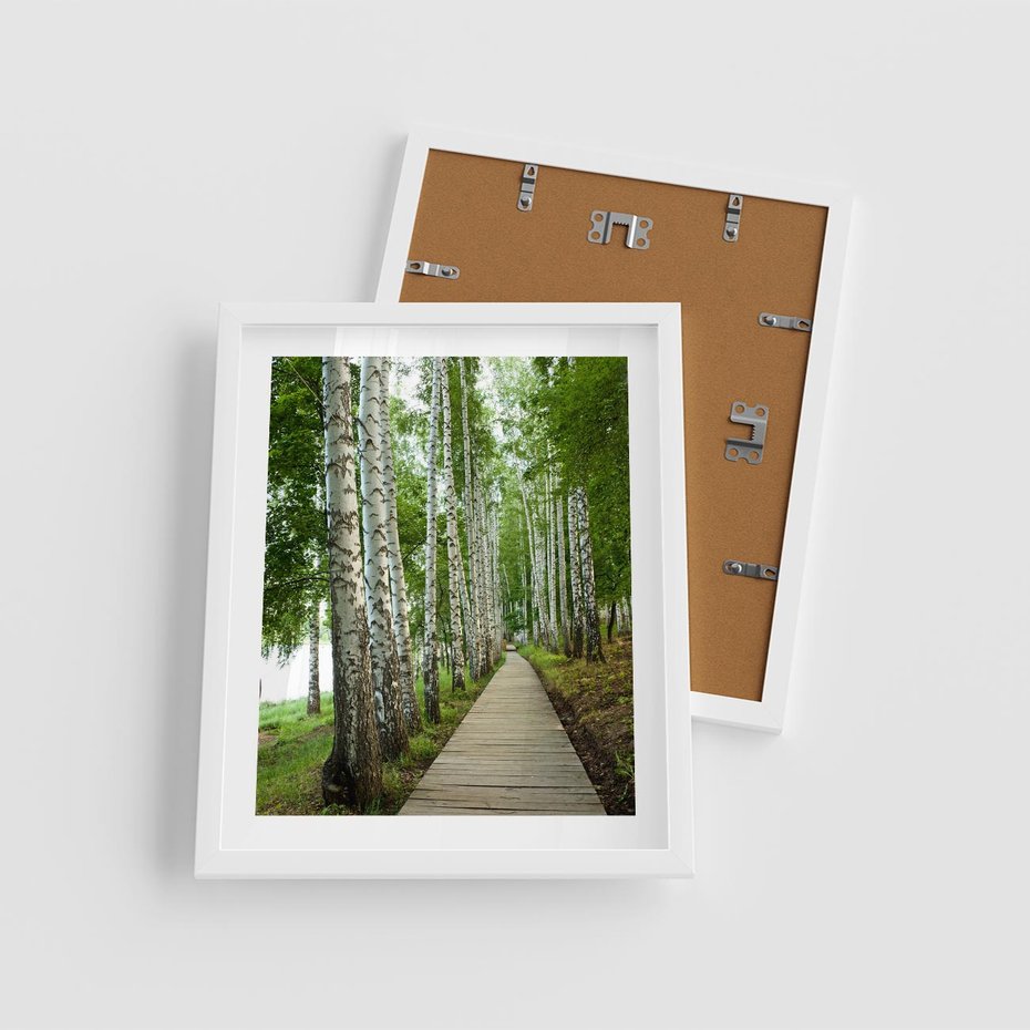 Plakat w ramie 40x50 - Spacer ścieżką przez brzozowy las - las, ścieżka - rama biała