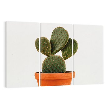 Obraz na płótnie 120x80 - Kwiatowy taniec kaktusa - kaktus, kwiat