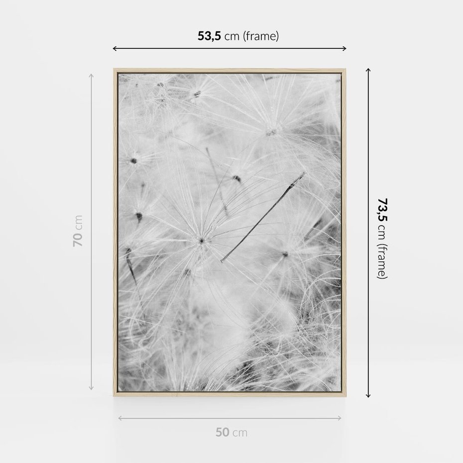 Obraz w ramie 50x70 - Zdmuchnięty Puch - dmuchawce, delikatne - rama drewno