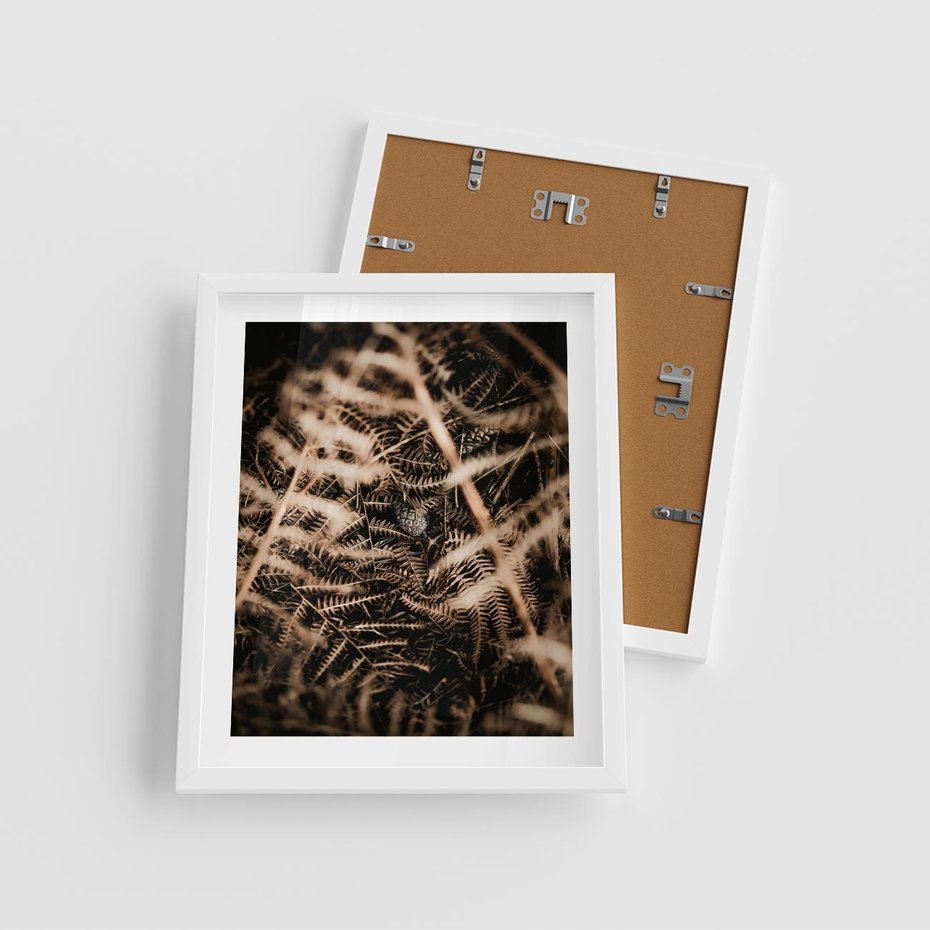 Plakat w ramie 40x50 - Liście i Paprocie - suche liście, paprocie - rama biała