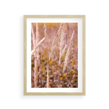 Plakat w ramie 30x40 - Sucha Trawa w Sierpniu - trawy, łąka - rama drewno