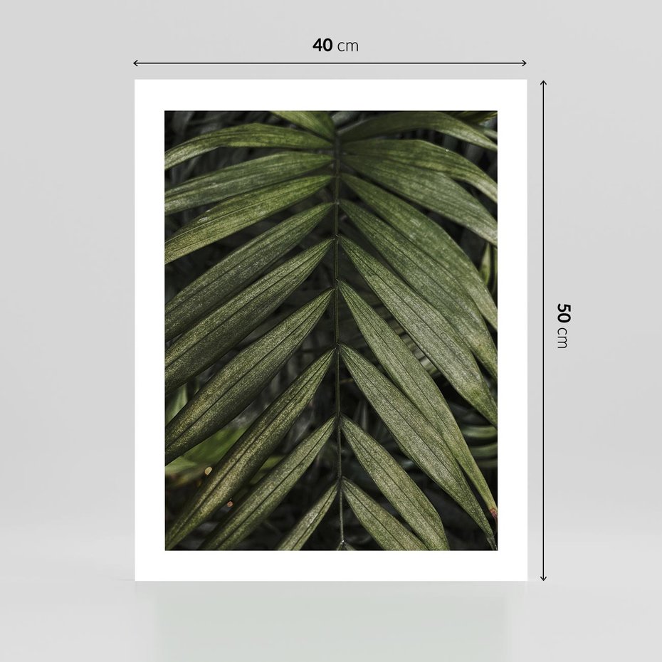 Plakat bez ramy 40x50 - W Liściach Ukryte - zdjęcie, fotografia