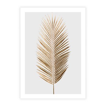 Plakat bez ramy 50x70 - Złoty blask palmowego liścia - złota, palma